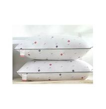 2 Long Lasting Best Quality Bed Pillows