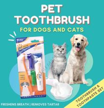 4 In 1 Cat Dog Toothpaste And Toothbrush Set For Pet - Beef Flavoured - 2 Finger Brush Pets Tartar Control Kit Reduces Plaque Fresh Breath Kit Beef Flavor Toothbrushs for Cat Kitten Doggie Dental Care,