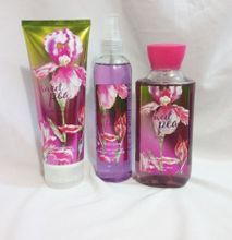 Signature collection Sweet Pea 3 in 1 Shower gel, Body Splash and Lotion