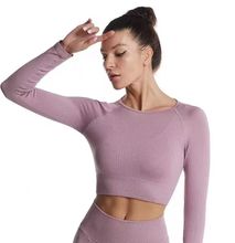 Women Yoga Set Sport Suit Workout Clothes for Women with Long sleeved top and leggings- Pastel Purple