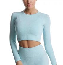 Women Yoga Set Sport Suit Workout Clothes for Women with Long sleeved top and leggings- Light Blue