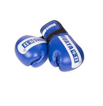 Boxing Gloves- Blue