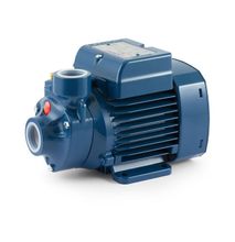 Pedrollo Booster Water Pump â 634 GPH, 0.5 HP, 115 Volts,Model PKm 60
