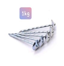 Roofing Or Iron sheet Nails 1kg