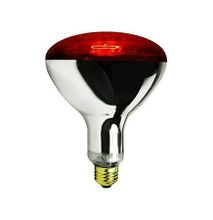 Poultry,chicken Bulb 250Watts