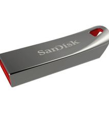 Sandisk Cruzer Force 64GB Flash Disk