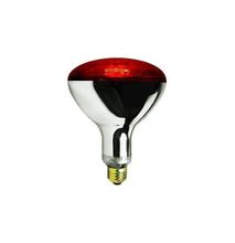 Tronic Poultry, Chicken Bulb 250W