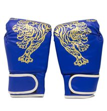 Generic Blue Boxing Gloves