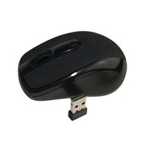 DELL Wireless Mouse - With 2.4 Ghz - USB Receiver