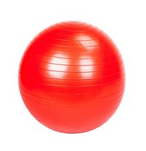 Generic 65cm Fitness Gym Balance Exercise Yoga Ball