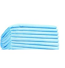 Fashion Waterproof Changing Pad Bed Mat Urine Pad Macintosh Sky Blue