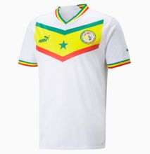 Senegal World Cup 22-23 Jersey T-Shirt