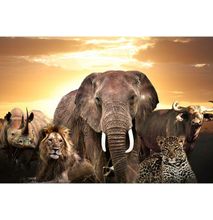 The Big Five - African Wild Animals Print