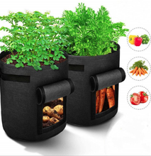 Environmentally-Friendly Potato Grow Bags