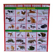 Wild/Domestic Animals and Their Young Ones