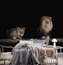 Canvas Wall Art of The King and Queen of the Jungle