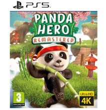 PS5 Panda Hero Remastered
